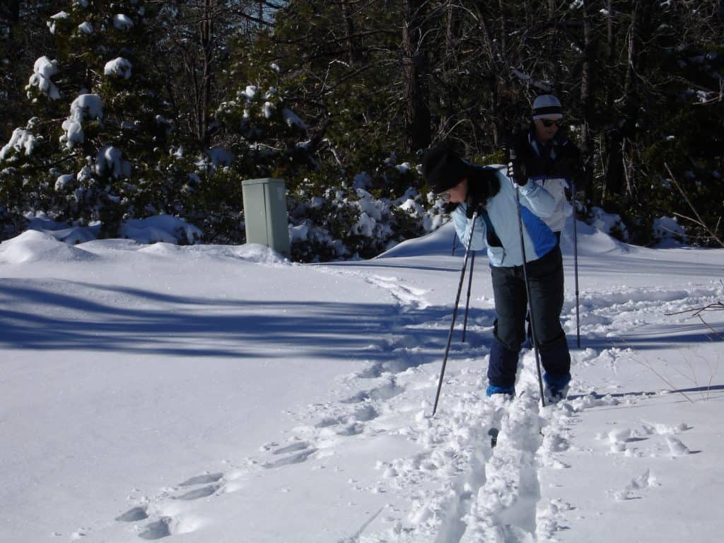 Skier studying bear tracks in the snow